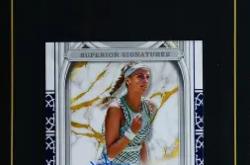 爱游戏体育关于皇家马德里挑战极限科维托娃在快船比赛中关键助攻，网友：风云突变摩纳哥清晨止住颓势的信息